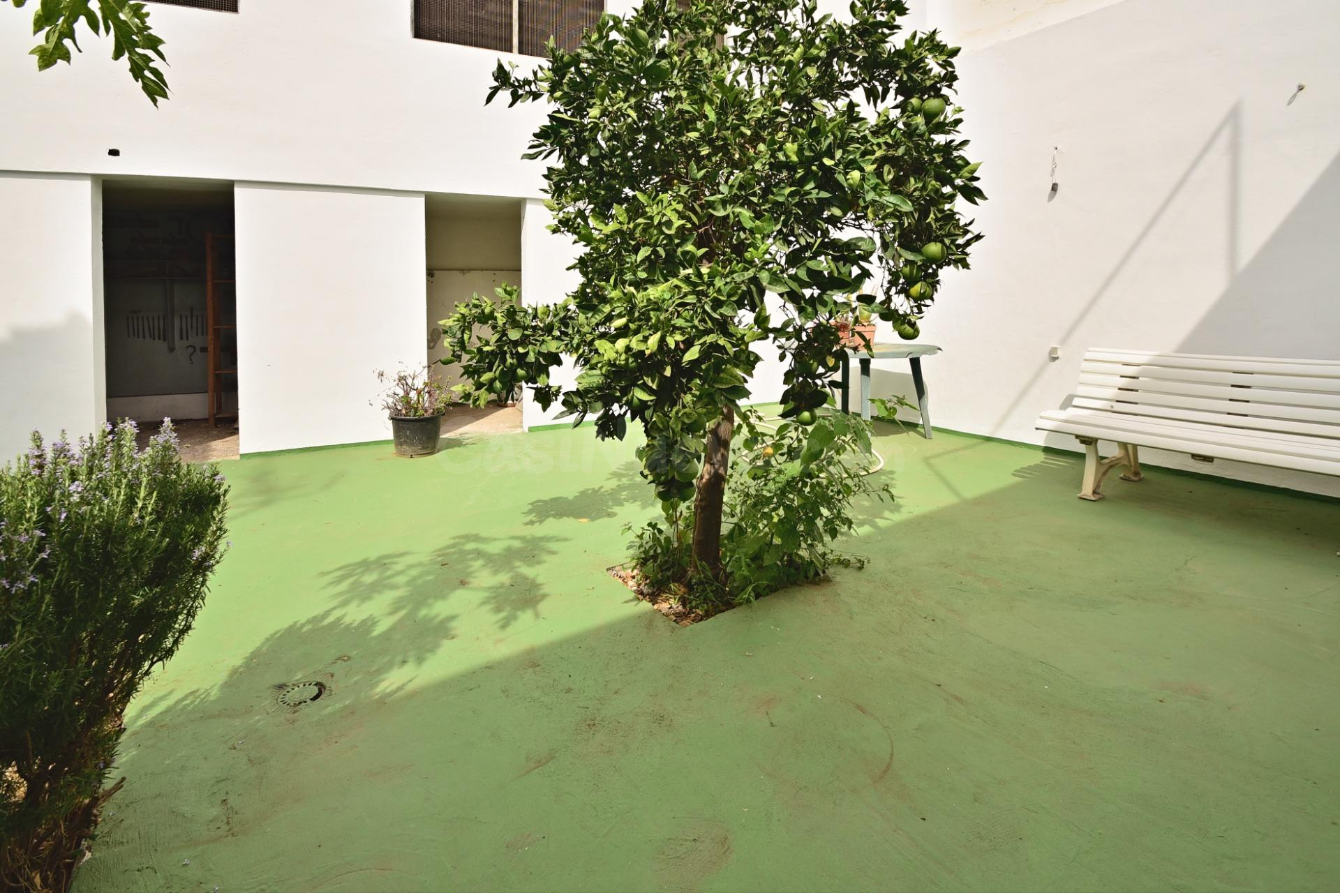 Excelente Casa Terrera en Pleno Centro - foto 3