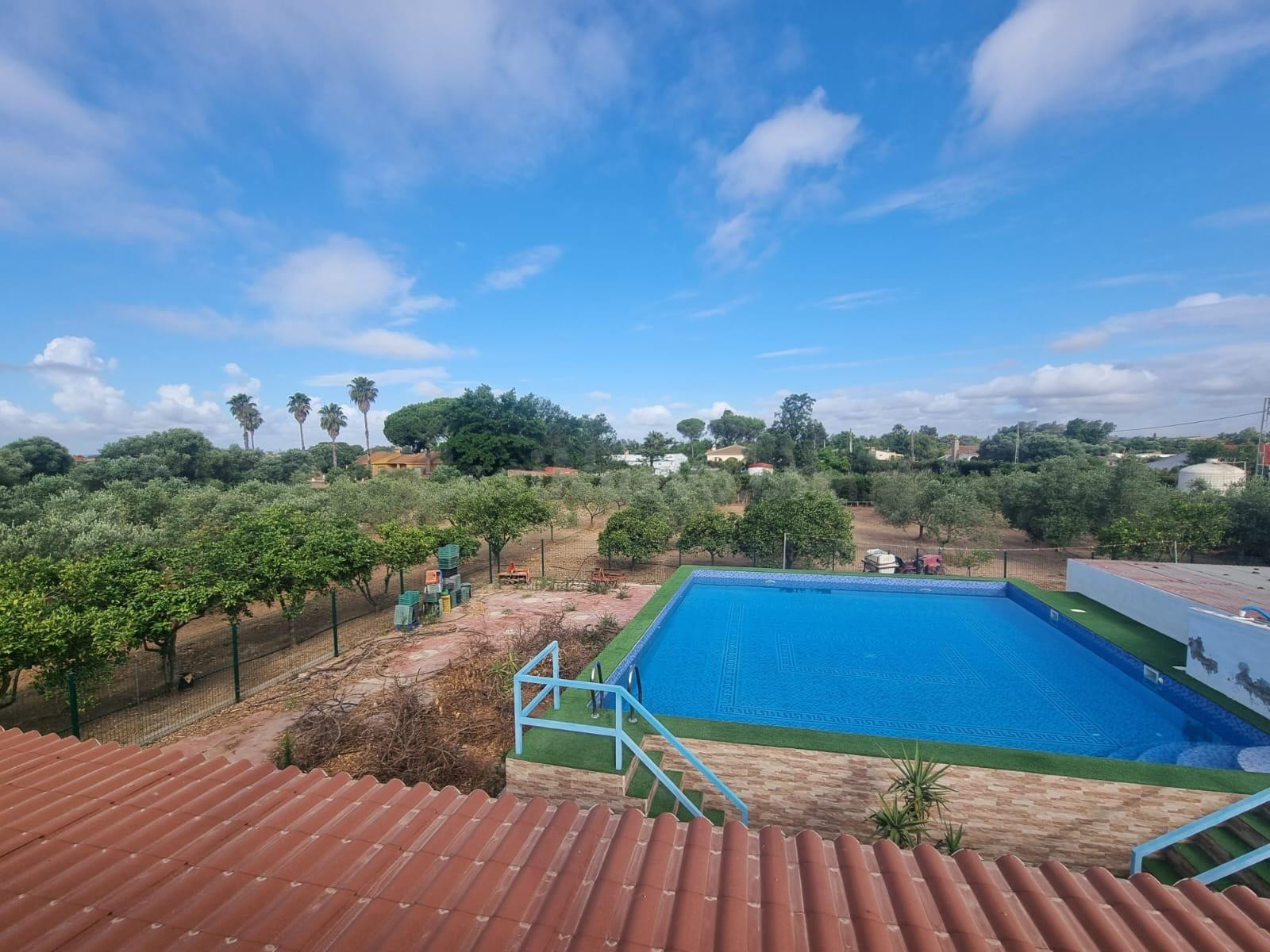FINCA RUSTICA EL PINTADO, GIBRALEÓN