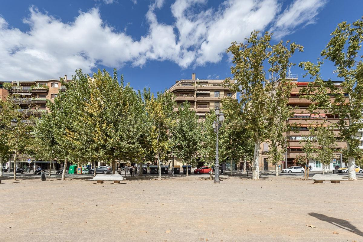 PISAZO EN PASEO DEL SALÓN - GRANADA