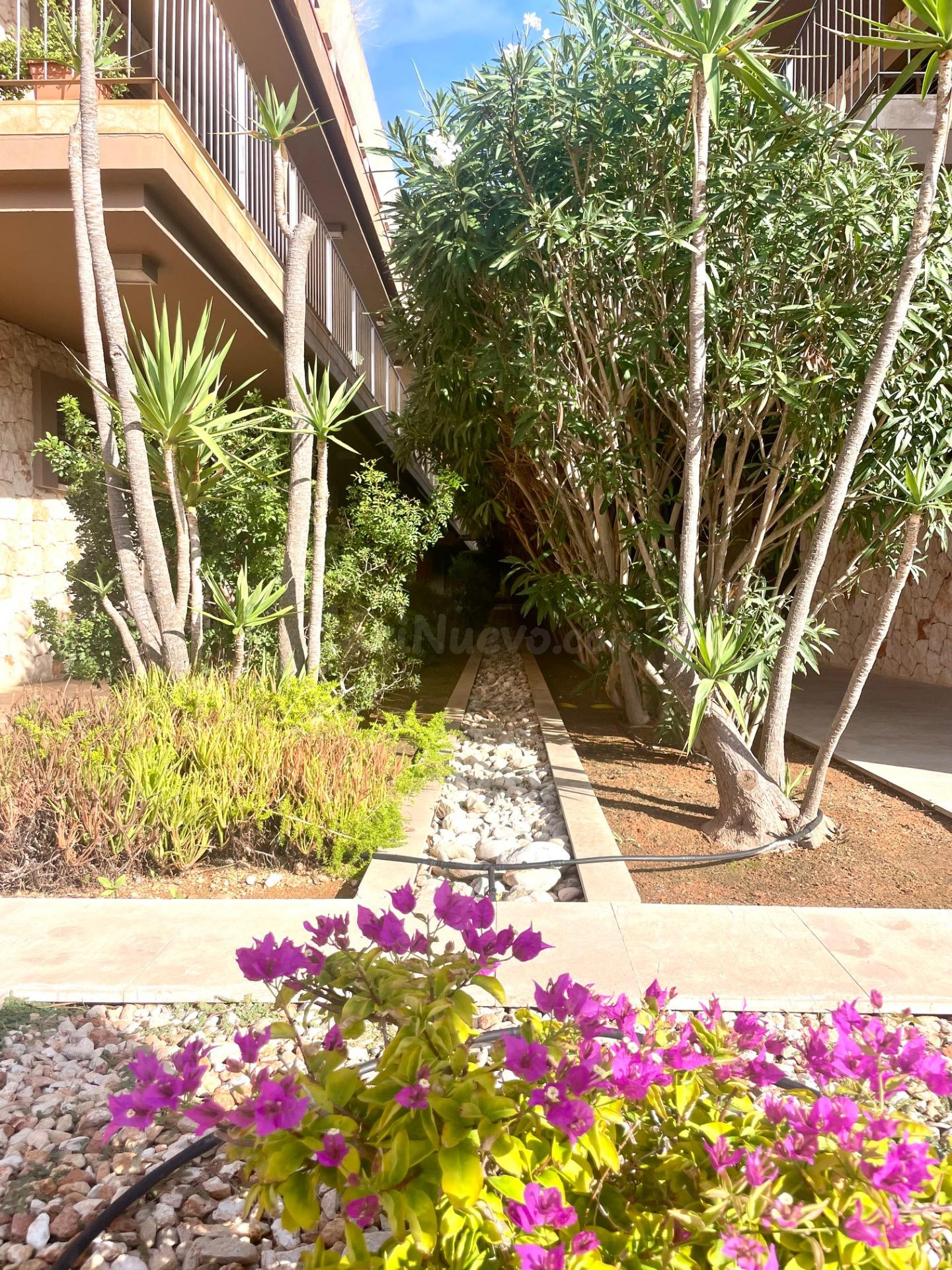 Ático Dúplex Exclusivo con 3 Terrazas, 2 Piscinas y Amplios Espacios - foto 2