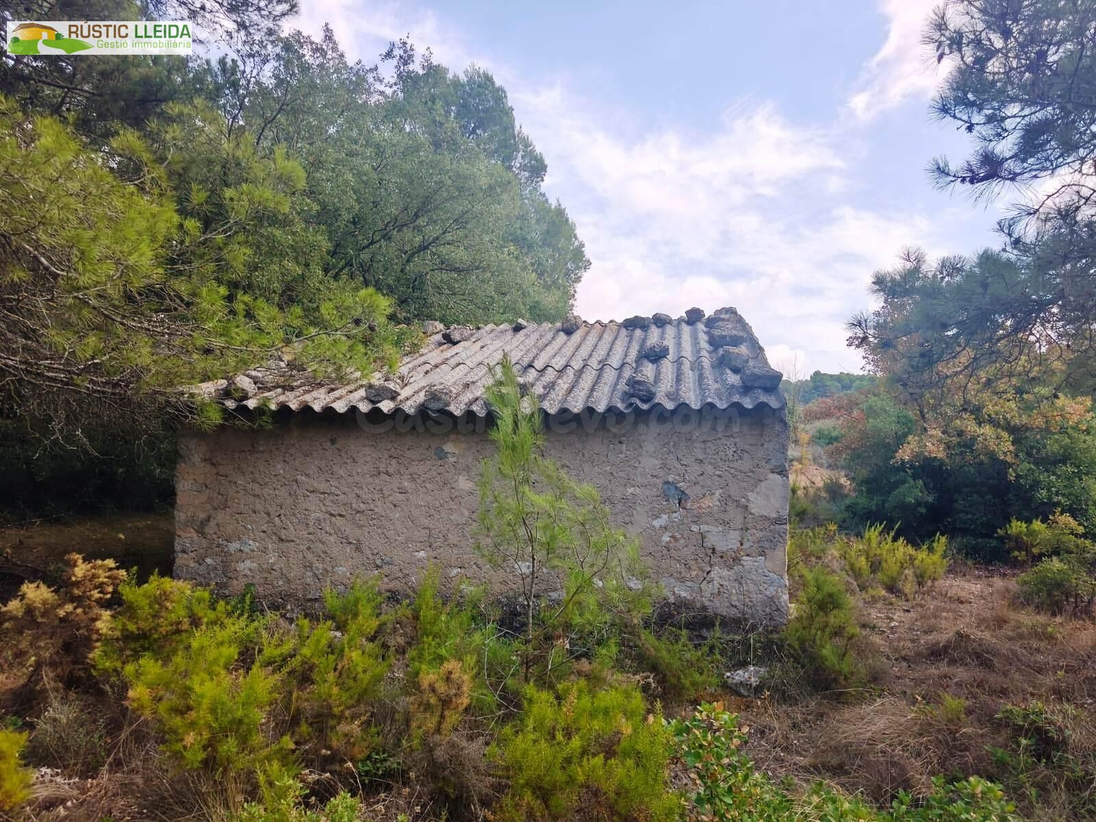 FINCA RÚSTICA EN VENTA CERCA DEL MONASTERIO DEL TALLAT, CON 