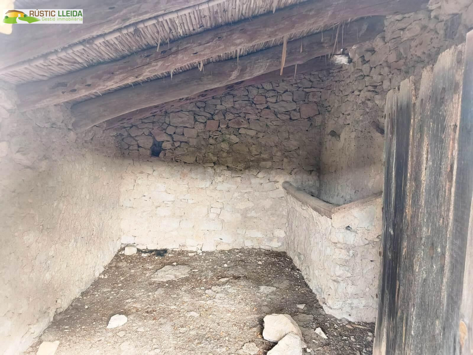 FINCA RÚSTICA EN VENTA CERCA DEL MONASTERIO DEL TALLAT, CON  - foto 2