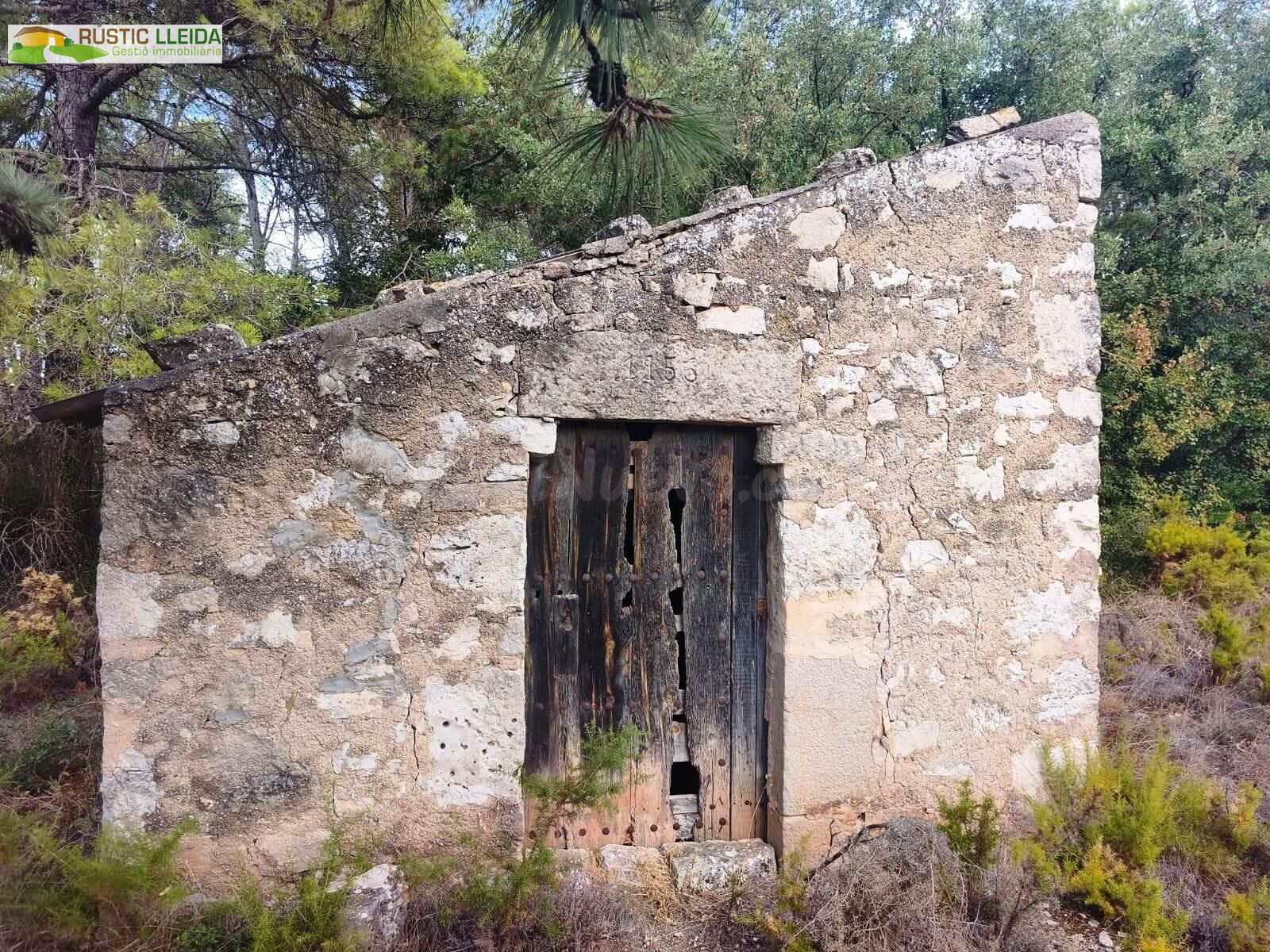 FINCA RÚSTICA EN VENTA CERCA DEL MONASTERIO DEL TALLAT, CON  - foto 3