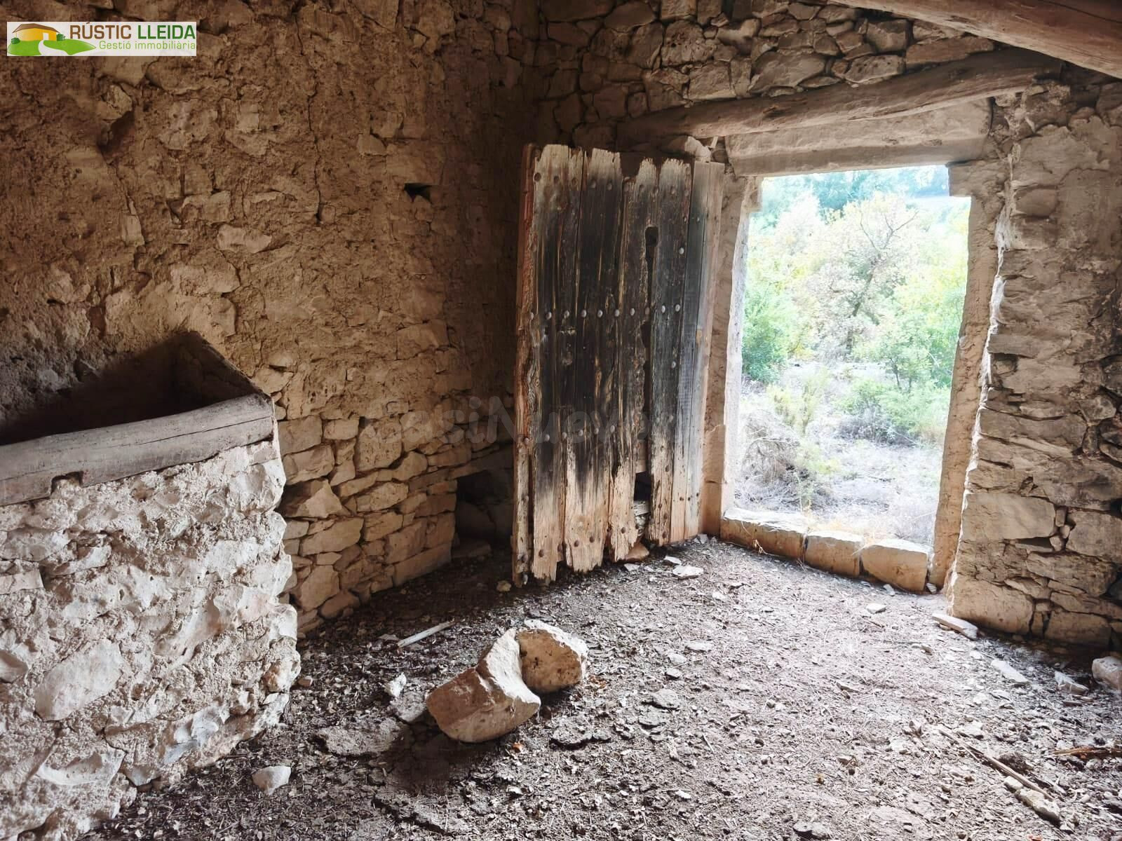 FINCA RÚSTICA EN VENTA CERCA DEL MONASTERIO DEL TALLAT, CON  - foto 5