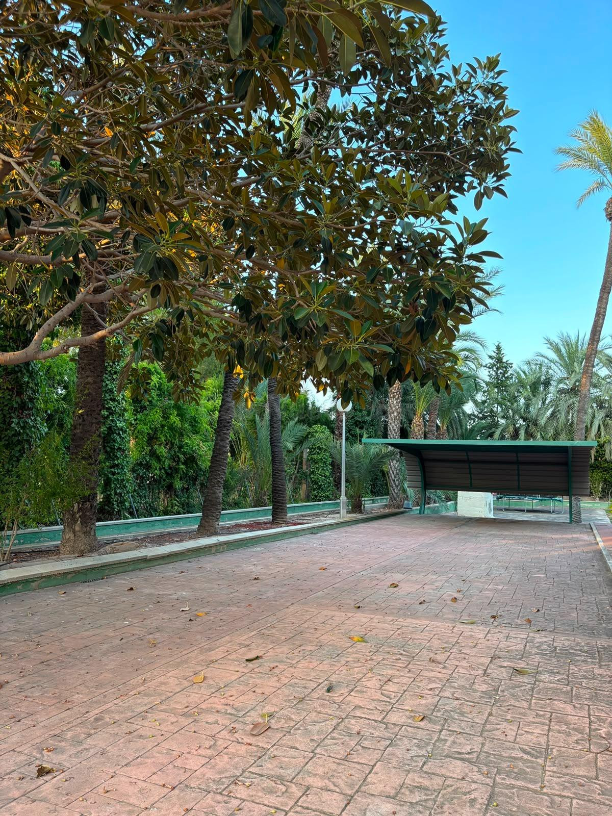 Villa en Alzabares - foto 5