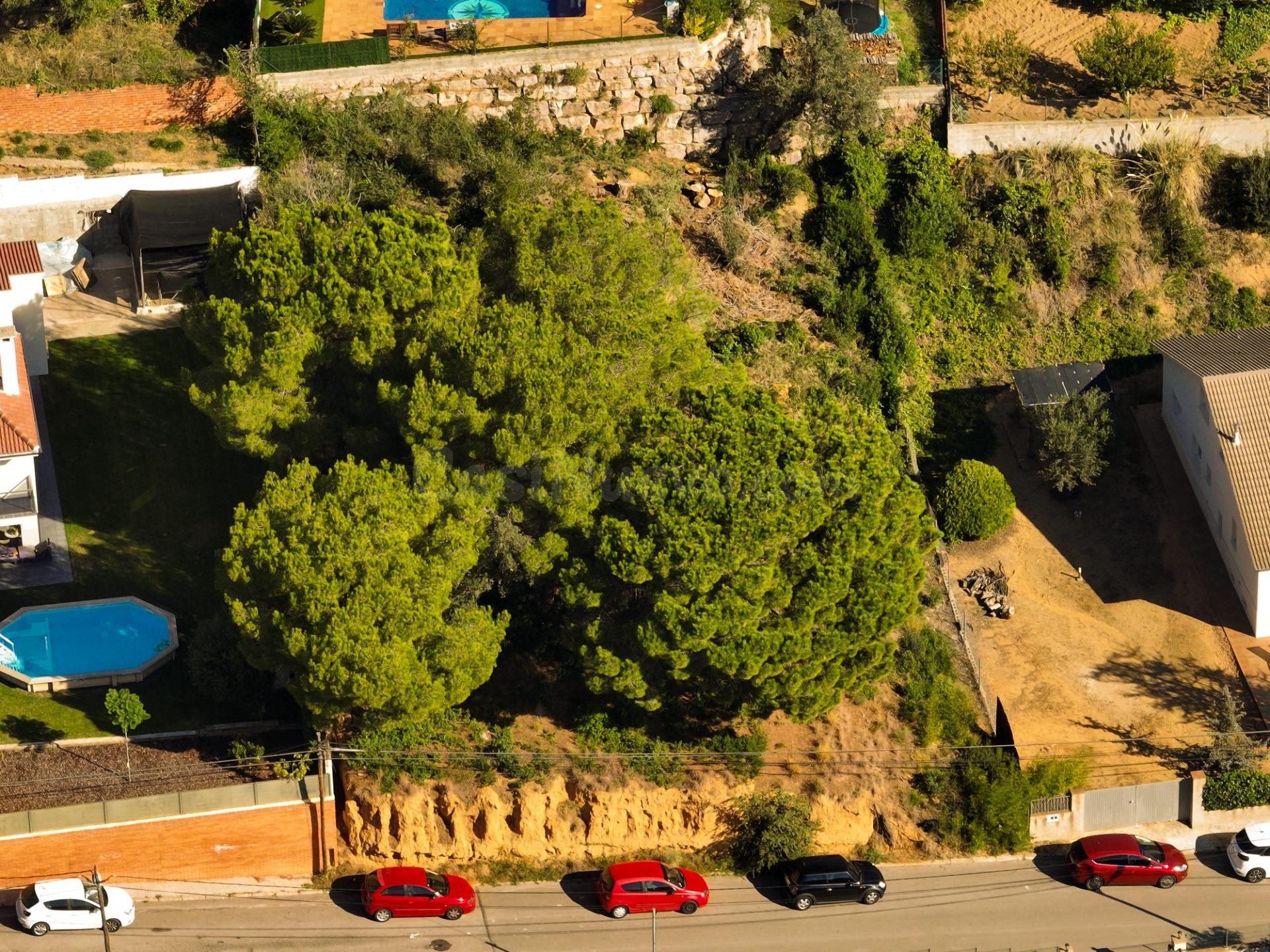 Parcela en venta - Nord Oest - Can Noguera - foto 5