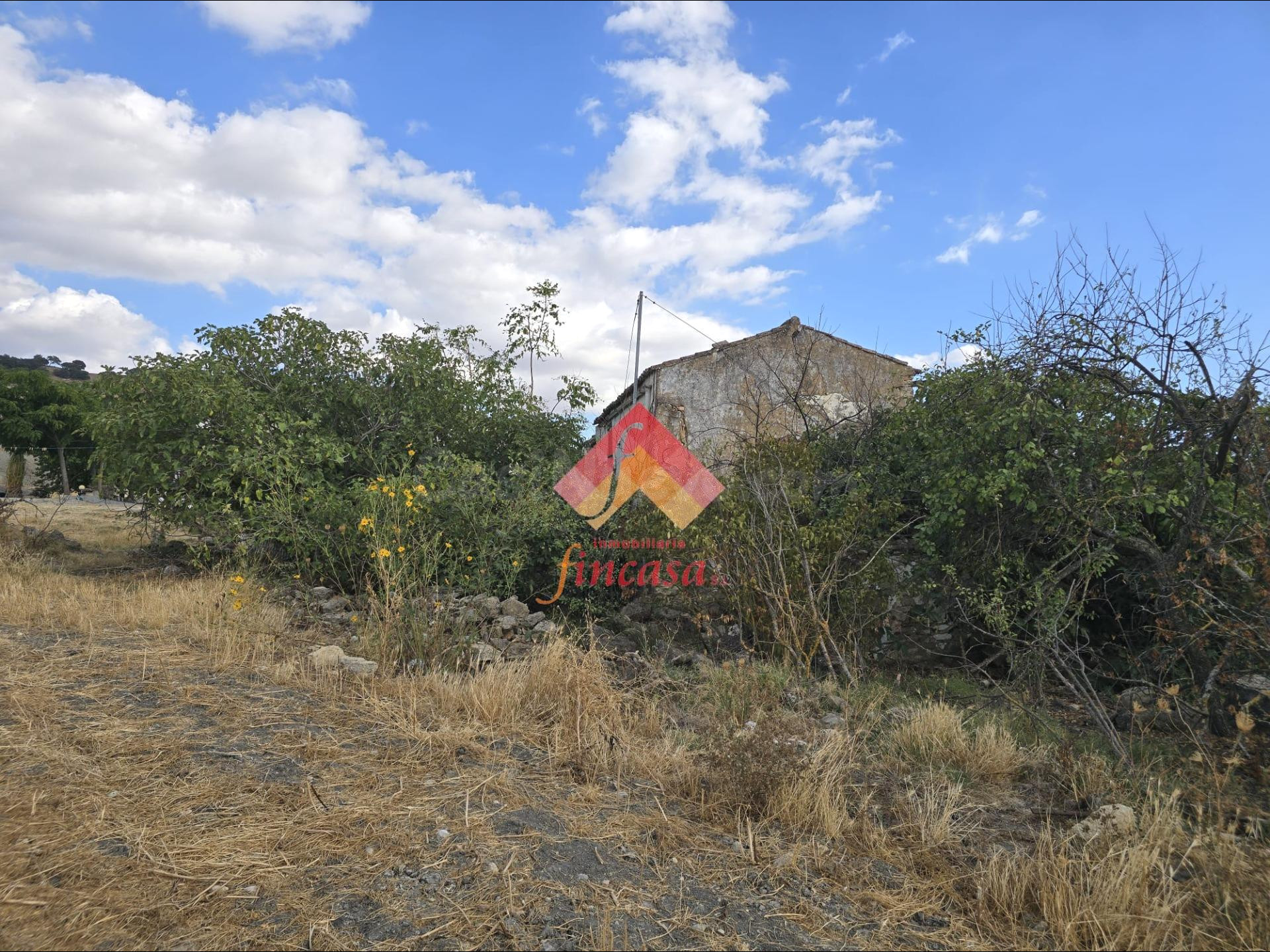 Finca rústica con vivienda para rehabilitar