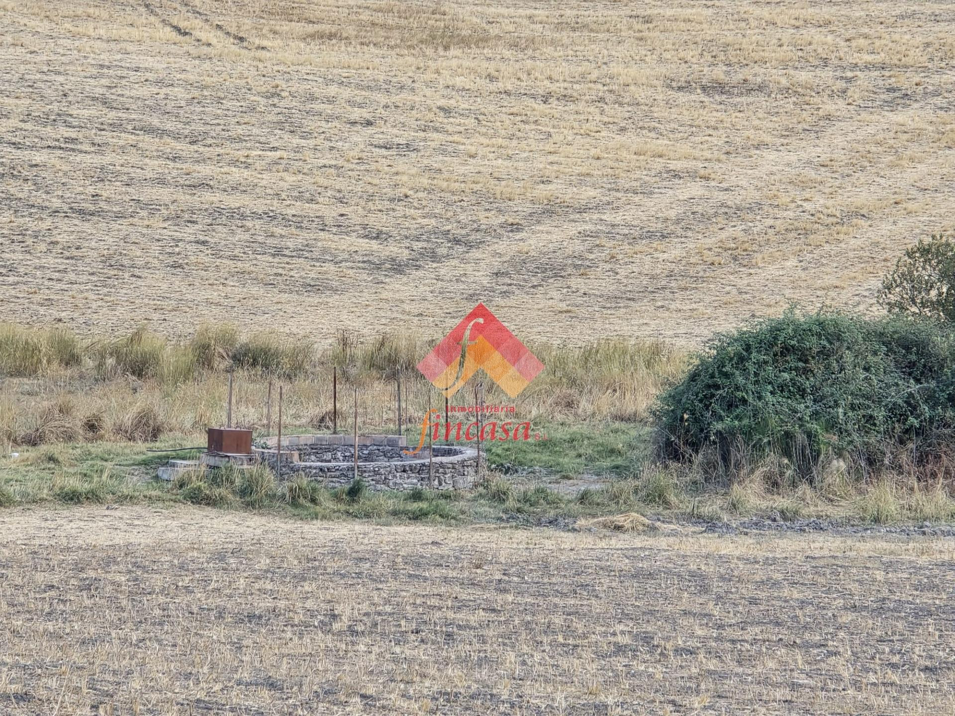 Finca rústica con vivienda para rehabilitar - foto 4