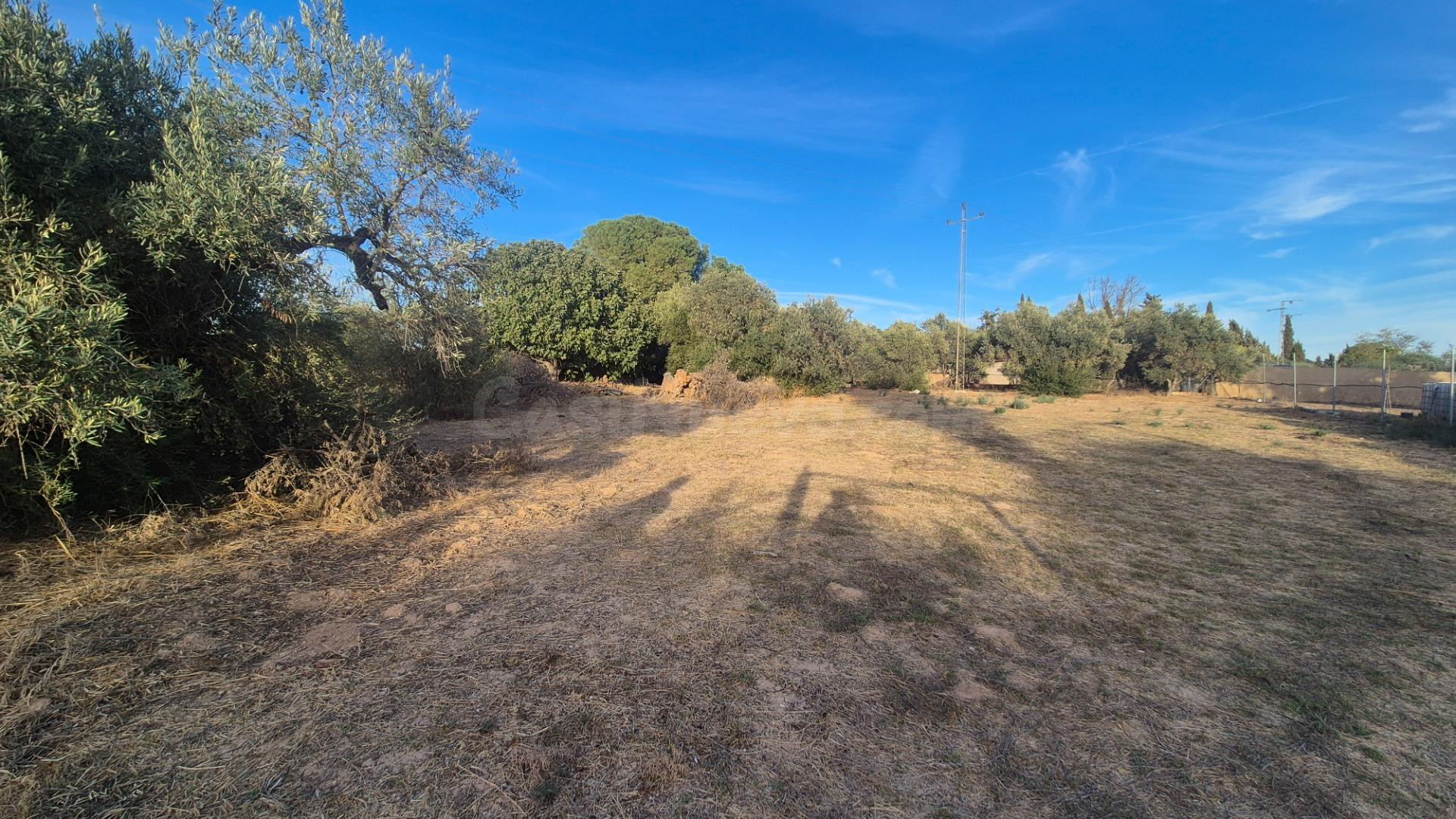 Oportunidad de inversión en Mairena del Aljarafe: Parcela de - foto 2