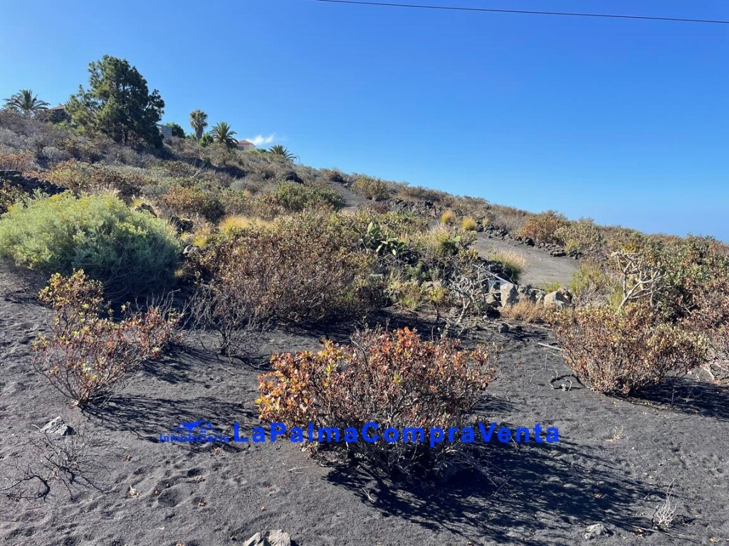 Suelo rústico en Venta en Llanos De Aridane, Los Santa Cruz  - foto 3