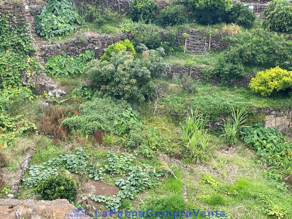 Suelo rústico en Venta en San Andres Y Sauces Santa Cruz de  - foto 3