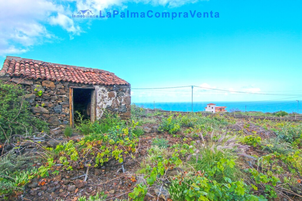 Suelo rústico en Venta en Lodero Santa Cruz de Tenerife - foto 4