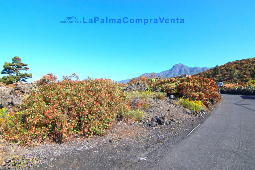 Suelo rústico en Venta en Paso, El Santa Cruz de Tenerife - foto 3