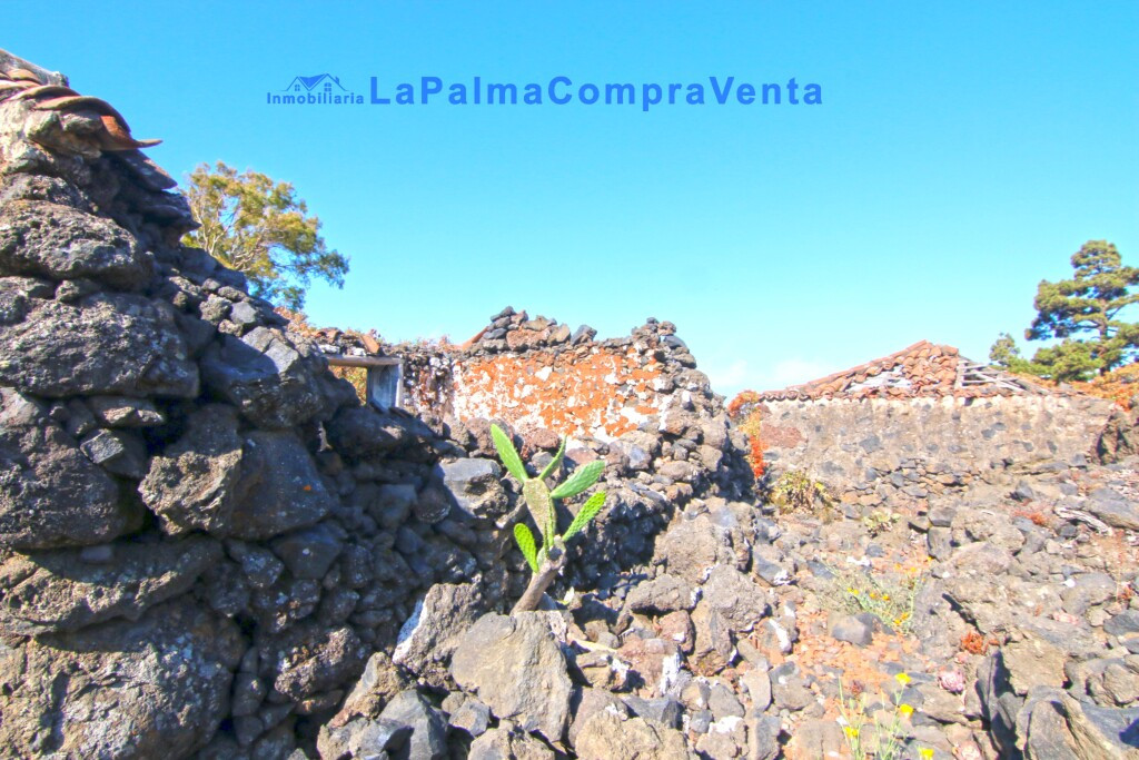 Suelo rústico en Venta en Paso, El Santa Cruz de Tenerife - foto 4