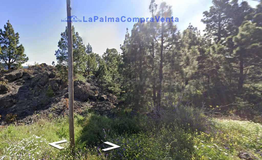 Suelo rústico en Venta en Paso, El Santa Cruz de Tenerife - foto 4