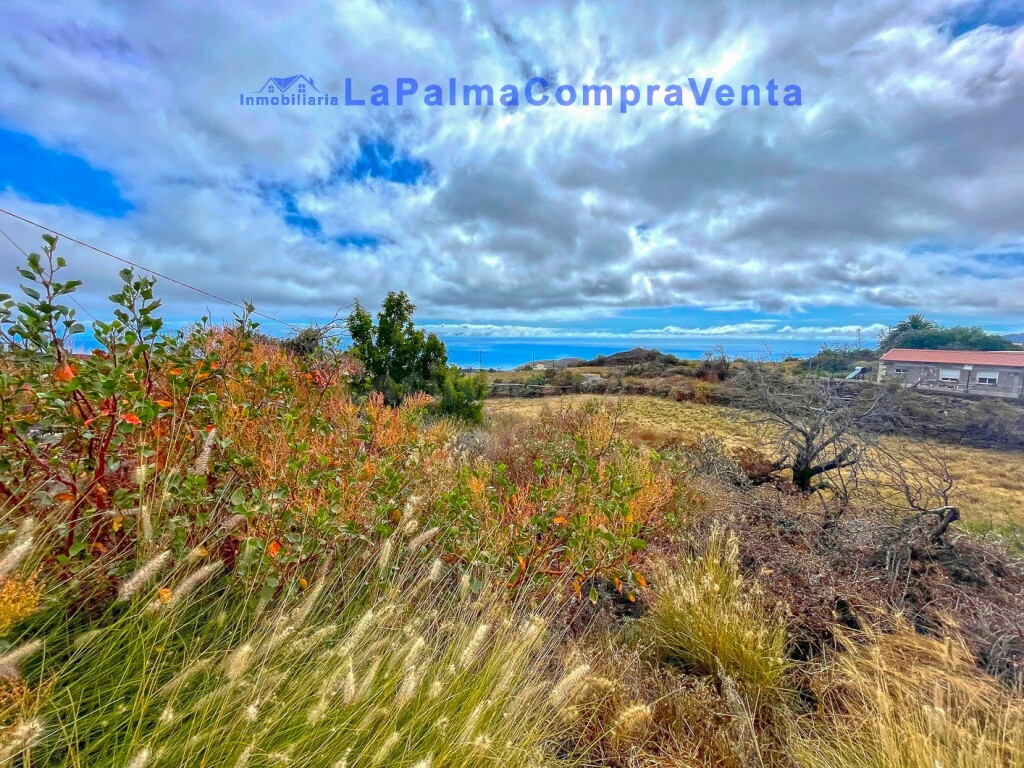 Suelo urbanizable en Venta en Paso, El Santa Cruz de Tenerif