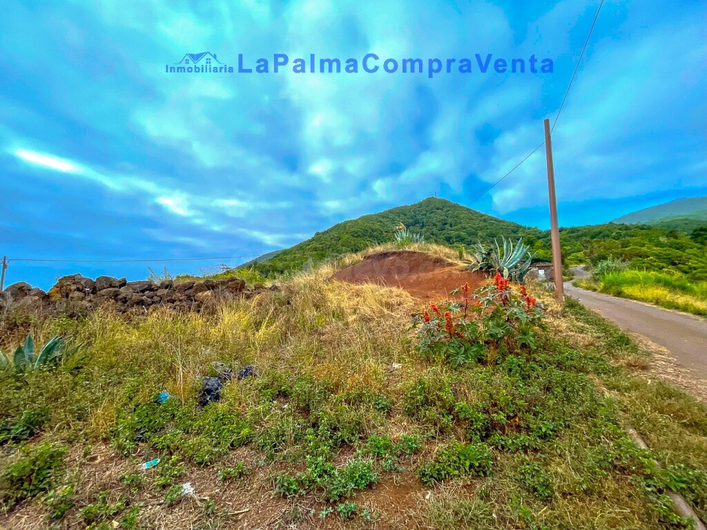 Solar residencial en Venta en Puntallana Santa Cruz de Tener