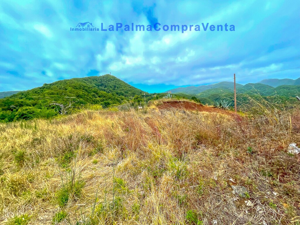 Solar residencial en Venta en Puntallana Santa Cruz de Tener - foto 5