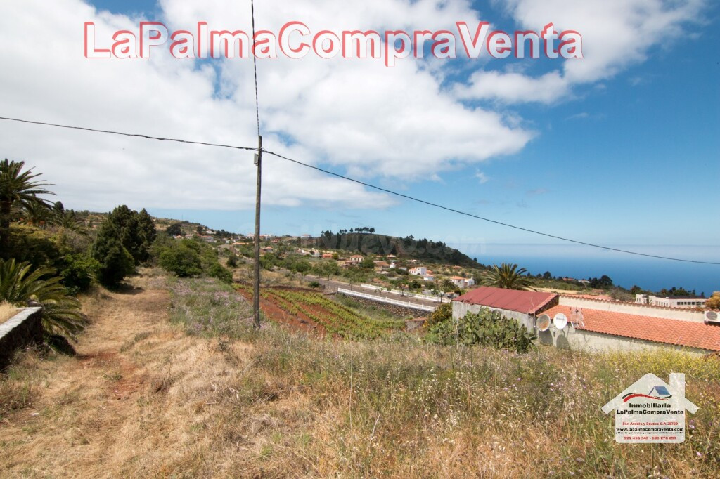 Suelo rústico en Venta en Puntagorda Santa Cruz de Tenerife