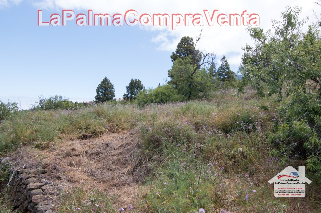 Suelo rústico en Venta en Puntagorda Santa Cruz de Tenerife - foto 5