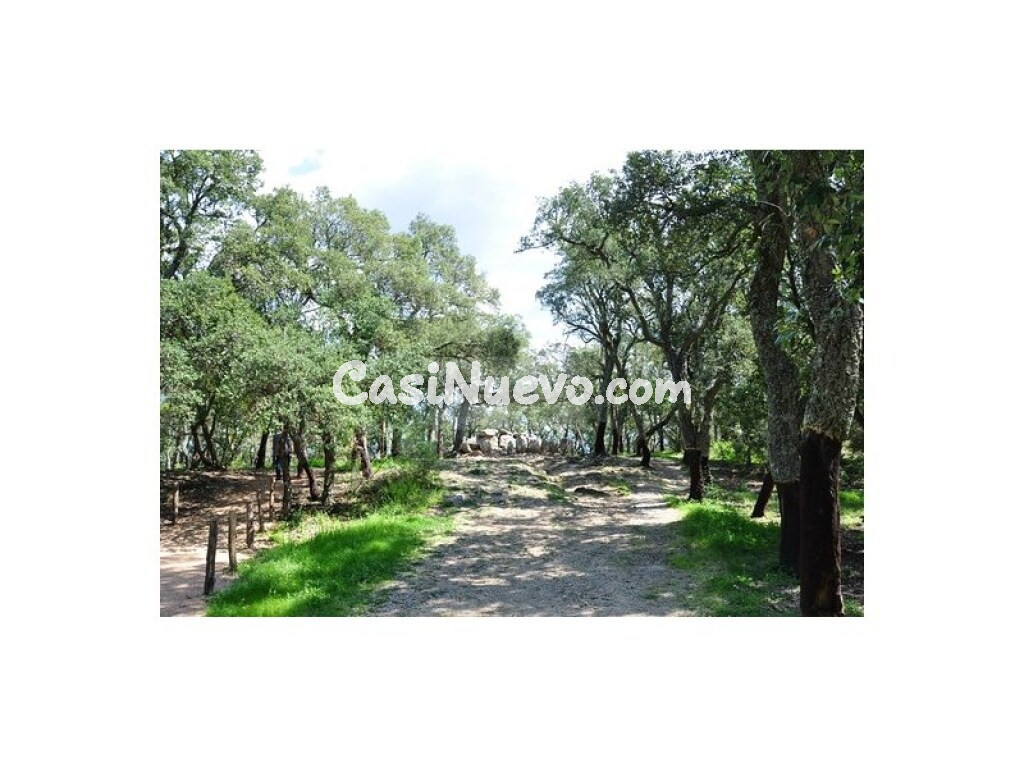 Parcela en Venta en Santa Cristina D Aro Girona - foto 3