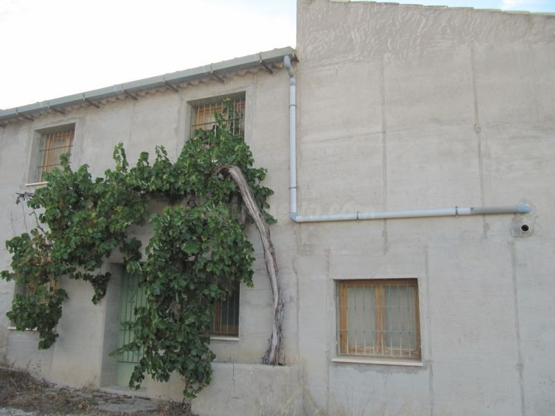 Finca rustica en Salinas con casa semireformada de 300 m2 y 