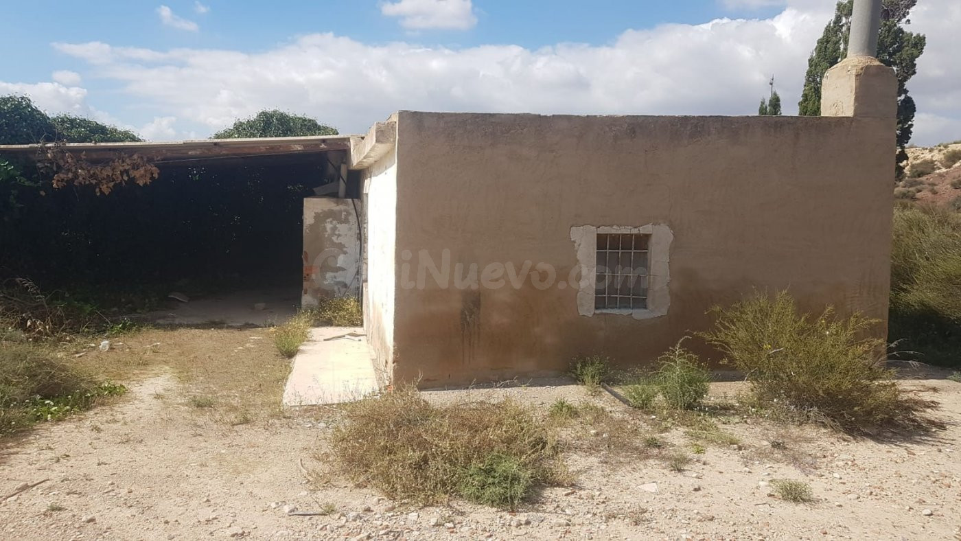 SE VENDE PARCELA EN PRODUCCION DE VIÑEDOS DE LA VARIEDAD ALEDO,POSIBILIDA, RENTABILIDAD DEMOSTRADA