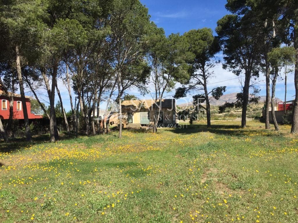 FINCA TERRENO URBANO EN ORITO, MONFORTE DEL CID, ALICANTE