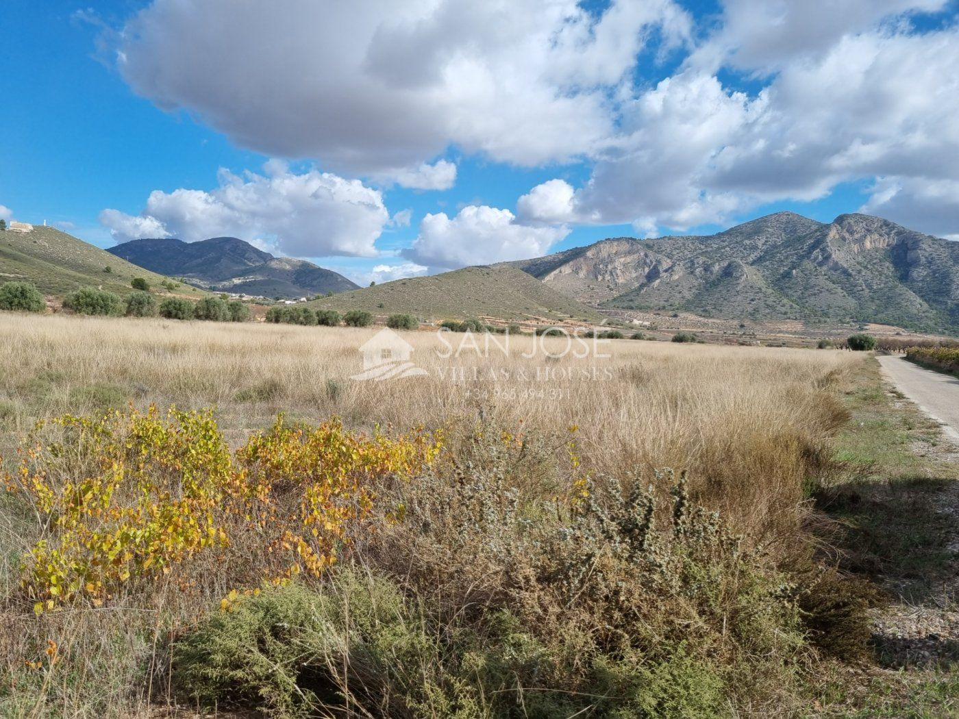 SE VENDE PARCELA EN CAÑADA DE LA LEÑA (ABANILLA) SPAIN