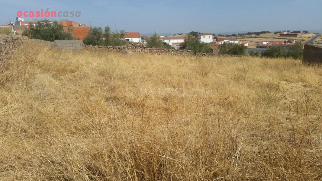 VENTA DE PARCELA EN PEDROCHE - foto 3