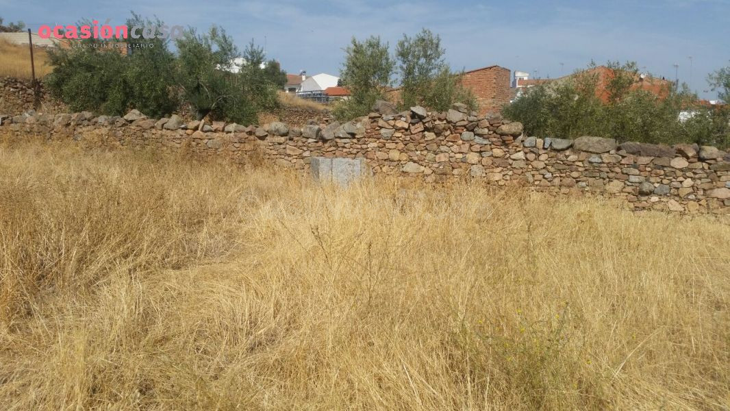 VENTA DE PARCELA EN PEDROCHE - foto 4