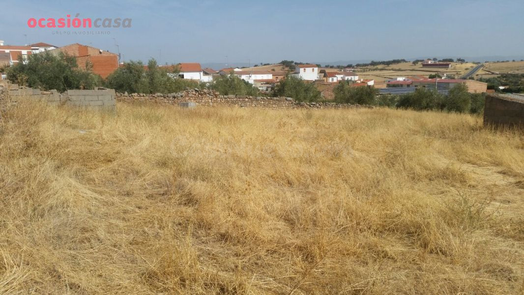 VENTA DE PARCELA EN PEDROCHE - foto 5