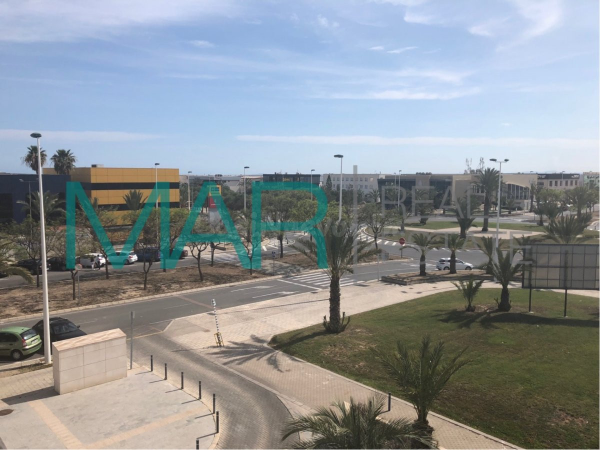 OFICINA EN PARQUE EMPRESARIAL ELCHE - ZONA BULEVAR - foto 3