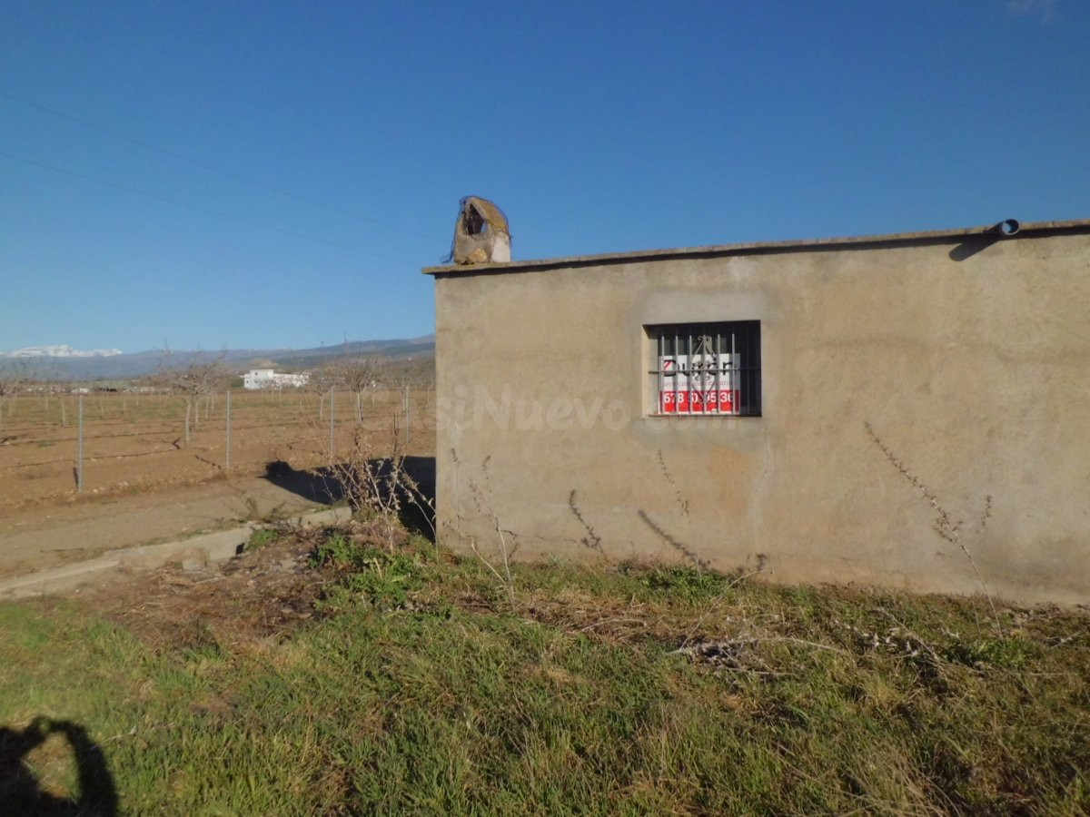 FINCA A LA VENTA EN LAUJAR DE ANDARAX - foto 5