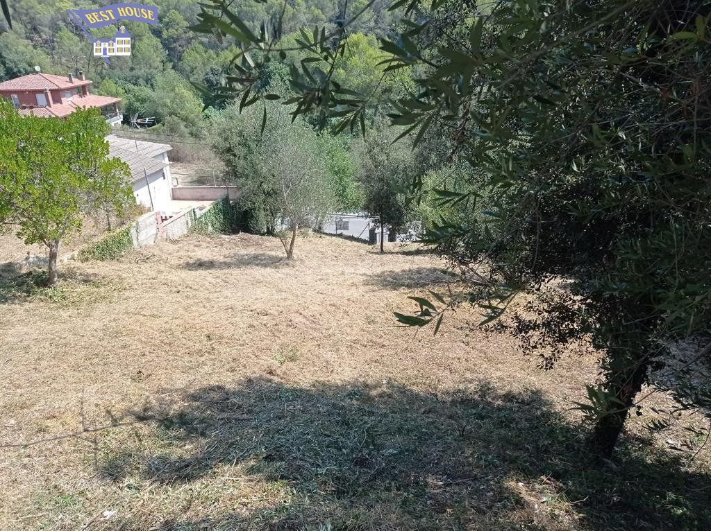 FANTÁSTICO TERRENO DE 590m2 EN LA PRIVILEGIADA ZONA DE CAN MIR