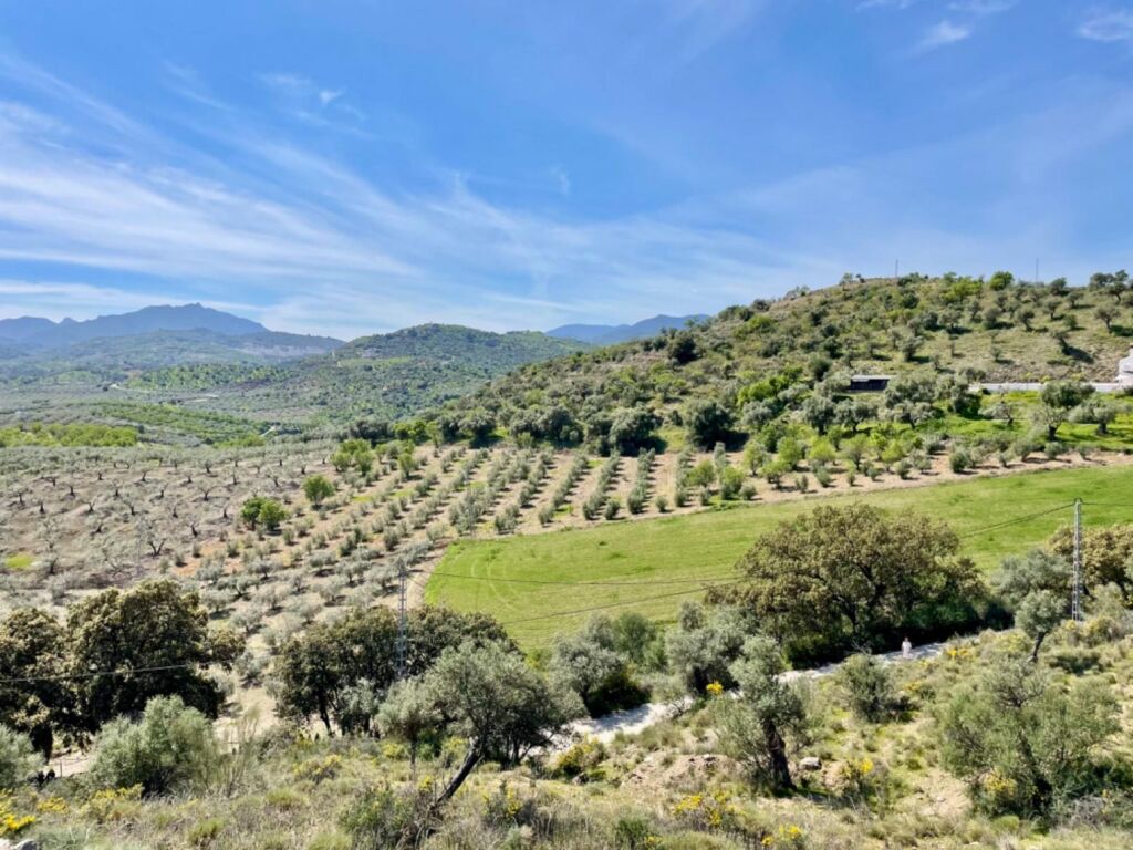 Terreno de 33.000m en venta