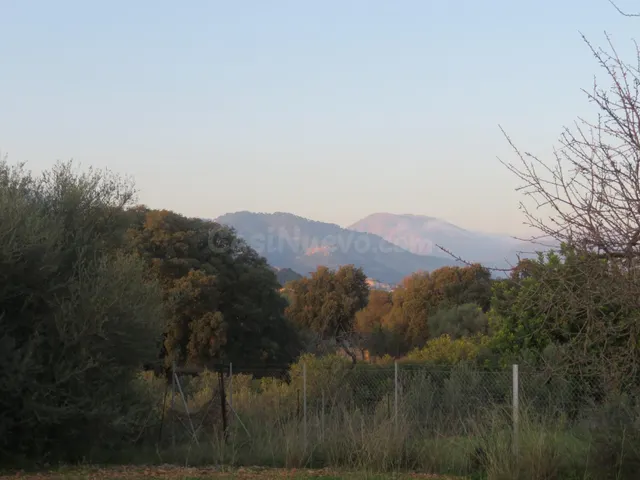Finca rústica en venta en Selva — 4