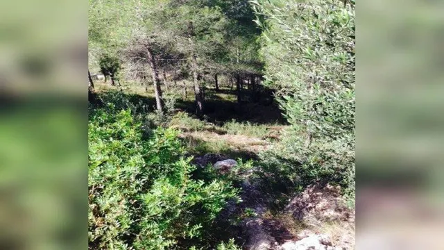 Terreno urbano en venta en La Bisbal del Penedes (Tarragona) - foto 2