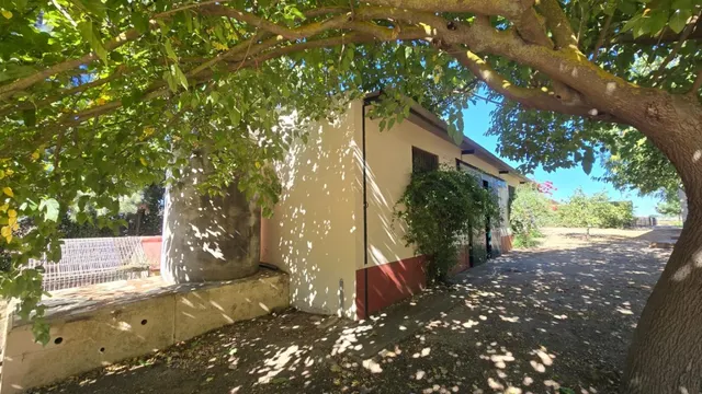 Magnífica casa de campo con piscina y vistas a Moguer, en finca de casi 15.000 m2 — 31