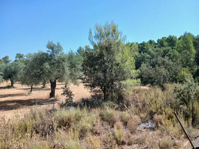 FINCA RÚSTICA DE 8.549 M2 CON CONSTRUCCIÓN DE 40 M2 EN VENTA