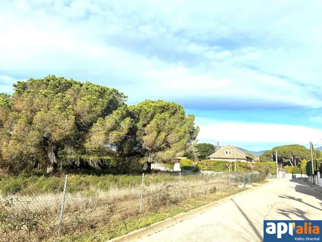 TERRENO ENTRE LLINARS Y CARDEDEU APTO PARA EDIFICAR UNIFAMIL - foto 5