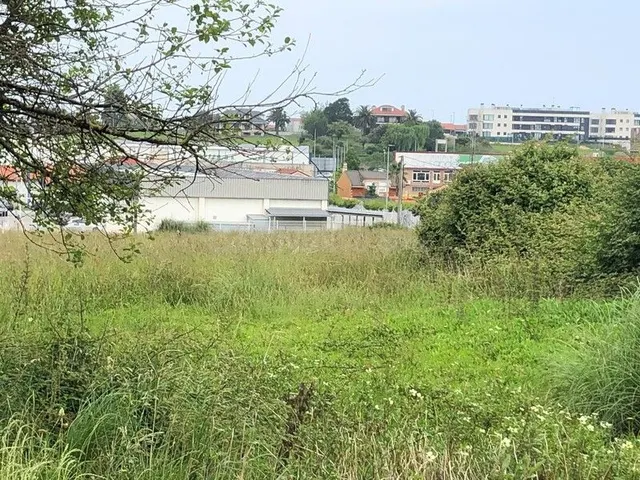 Piso 749m² en venta - Alisal - Cazoña - San Román - foto 5