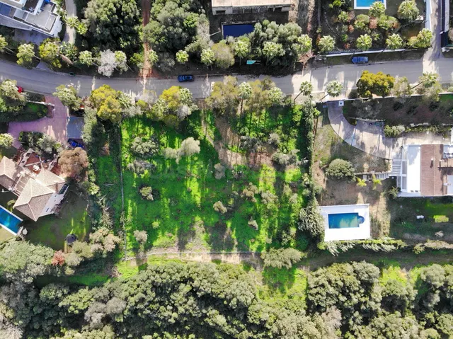 Parcela en venta - Sotogrande - Alto - foto 2