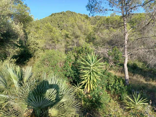 Terreno urbano edificable en venta de 1287 m2 en CASTELLET I LA GORNAL — 10