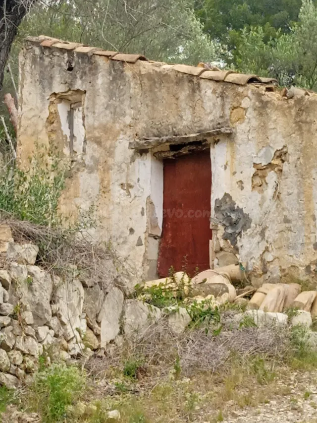 Finca Rústica en Venta en Tortosa - Oportunidad Única por 40 - foto 3