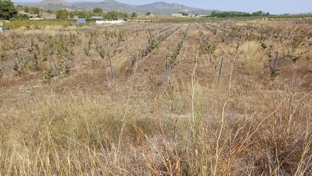 SE VENDE PARCELA DE 12.000 MTS. / POSIBILIDAD DE CONSTRUIR — 3