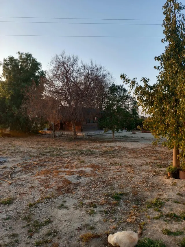 CHalet en planta baja — 22