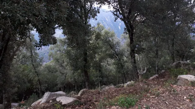 Terreno en venta Fogueres de Montsoriu — 8
