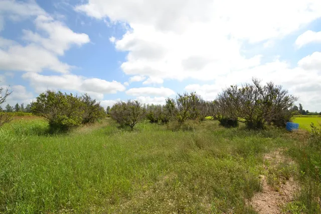 Finca rústica en venta - Balada