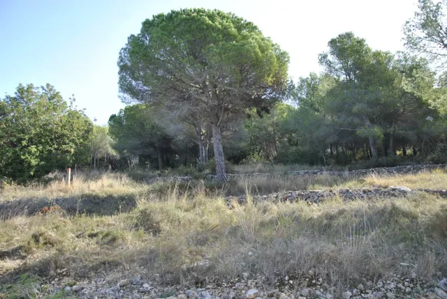Parcela Rústica en el municipio de Cubelles, 5.560 mts2 Corral d'en Cona — 3
